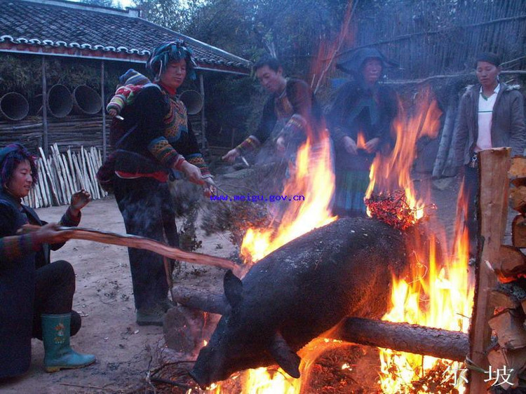 太阳火组合阿苏小调歌《过年咯》 - 阿苏 - 中国少数民族彝族人*太阳火组合*阿苏听史