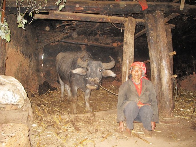 我带同事去红河彝族村寨捐赠书包和现金